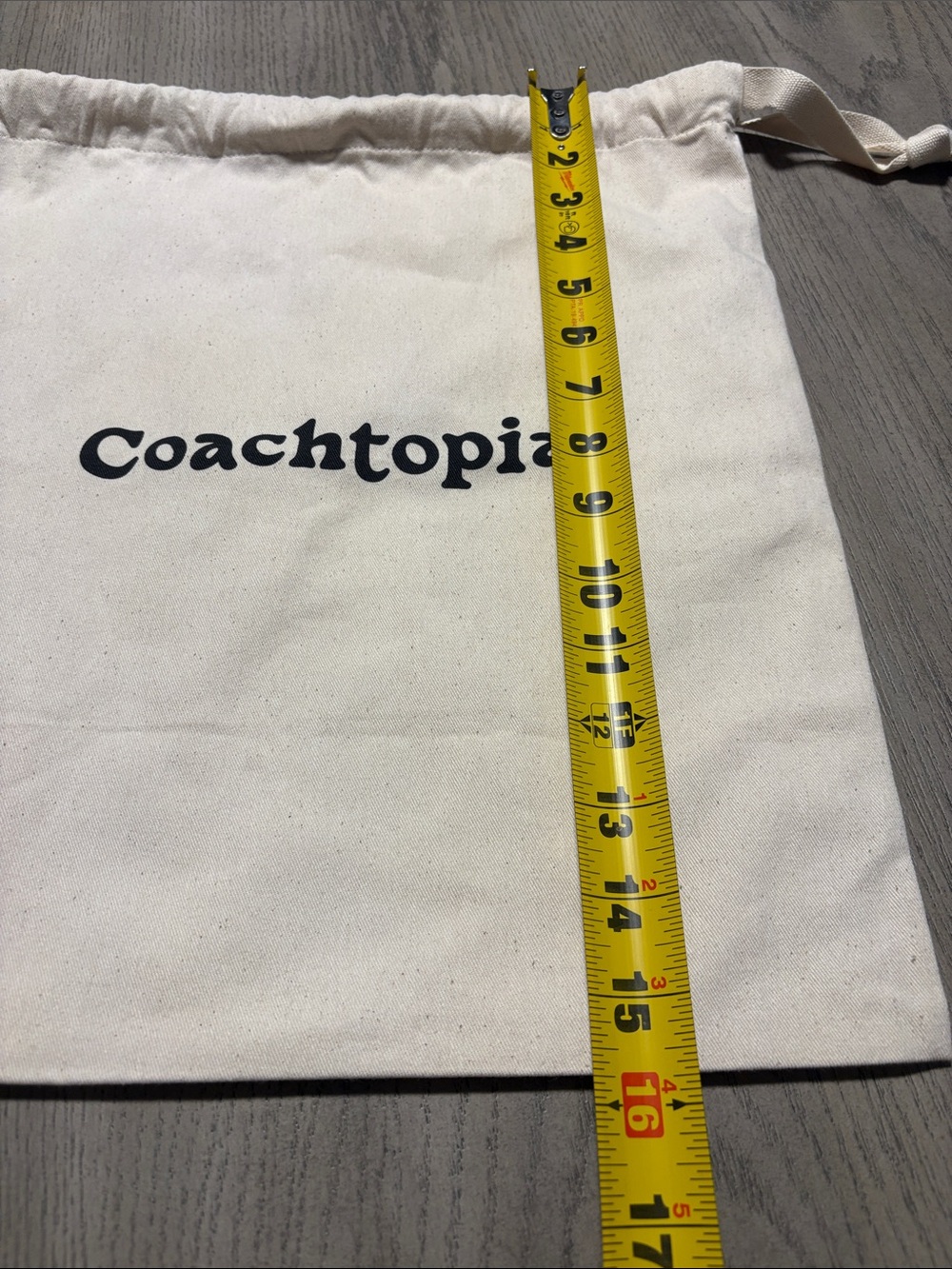 Coach Coachtopia Drawstring Dust Bag in Natural and Black - Picture 4 of 5